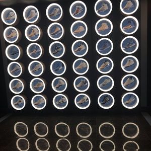 Meet your Posher, Bryan